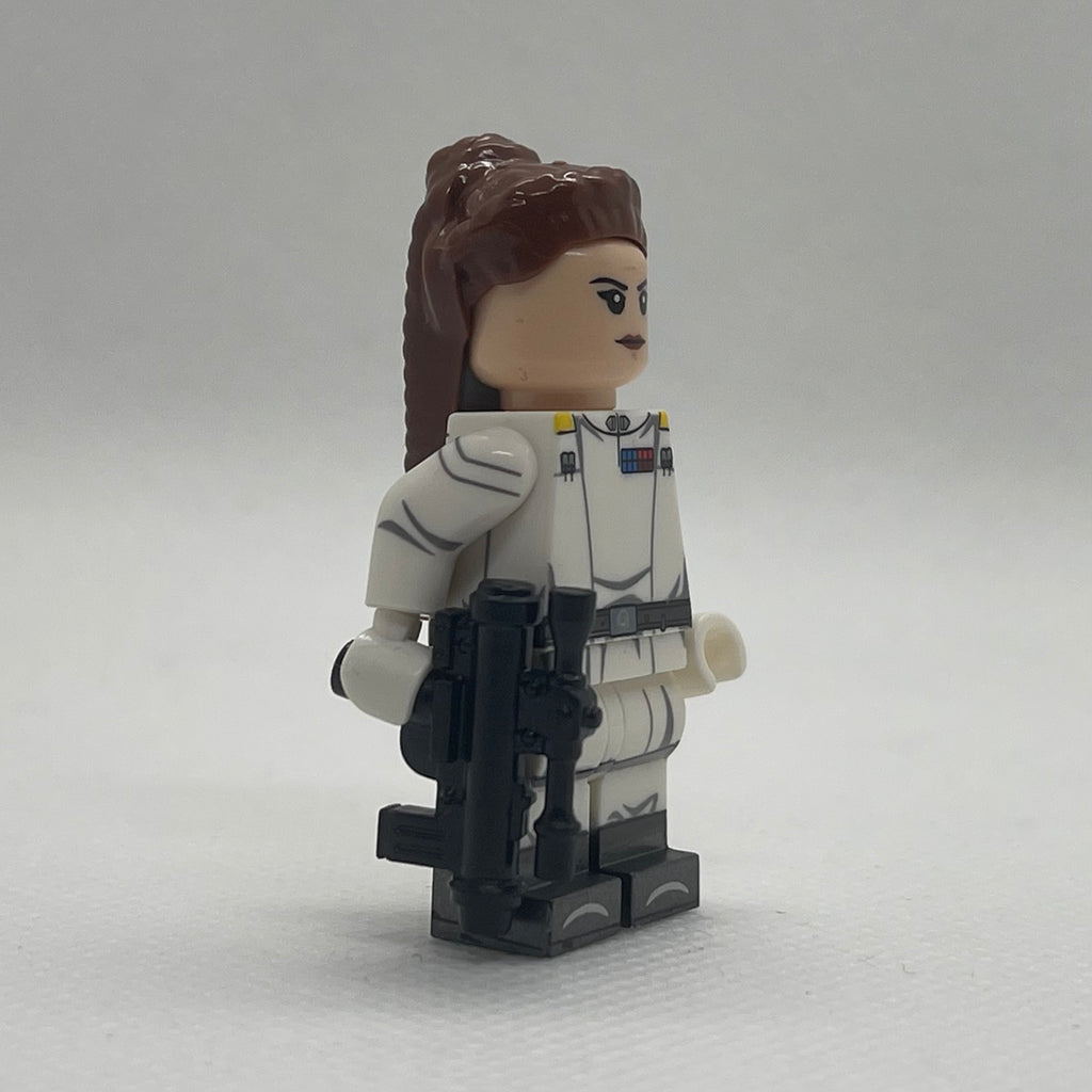 What if SW Customs