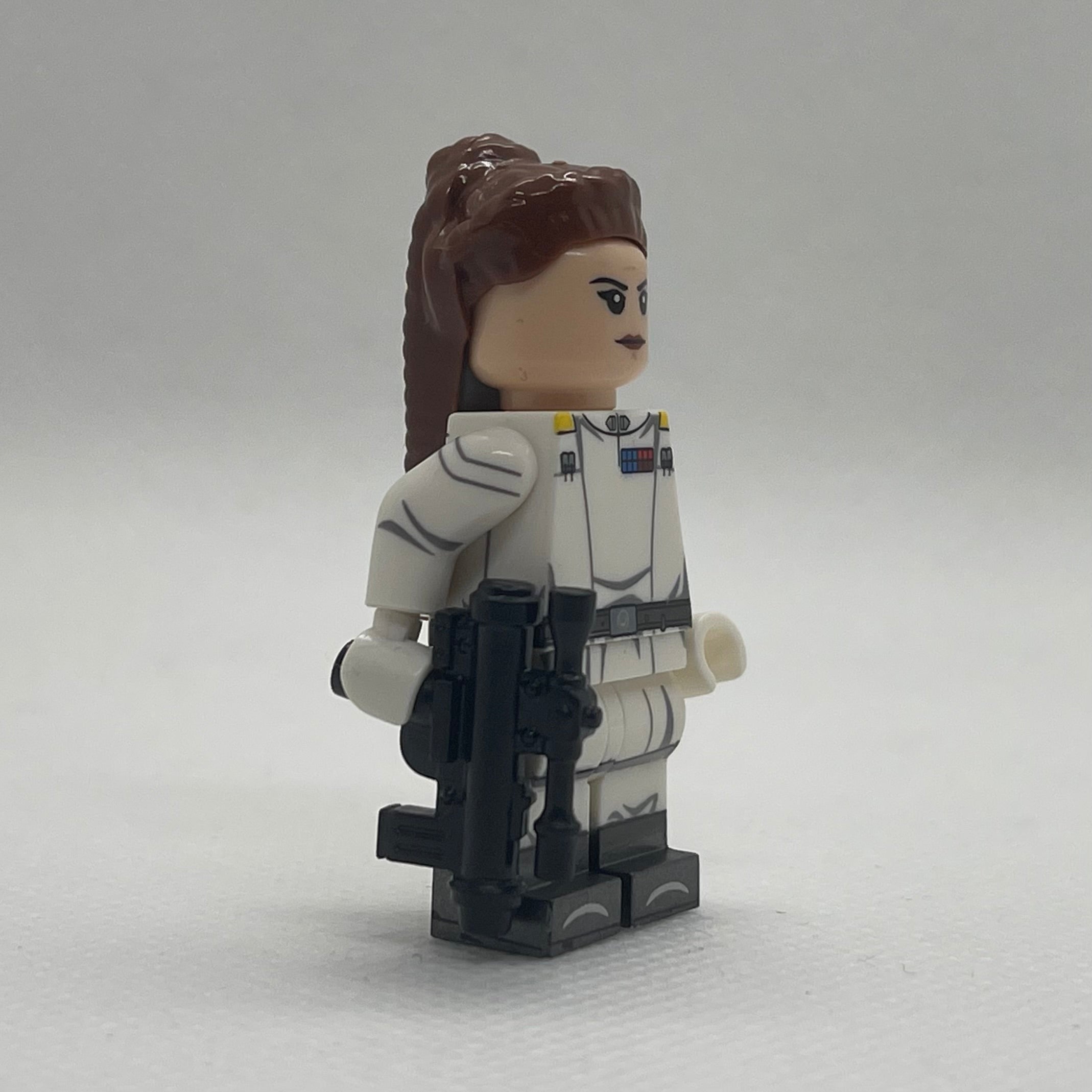 What if SW Customs