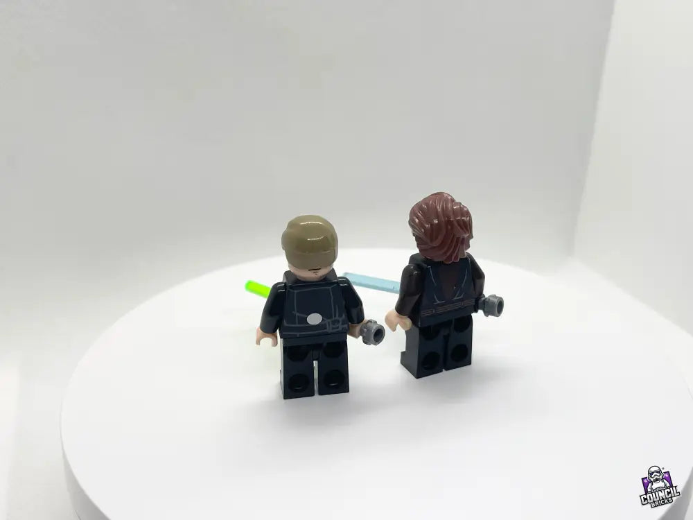 Skywalker Father & Son